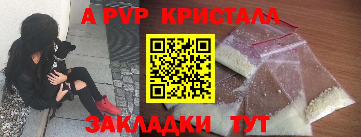A PVP СК КРИС Елизово