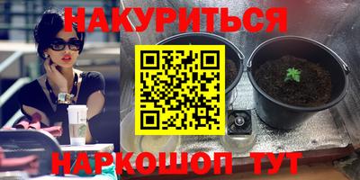 не бодяженный Краснодар