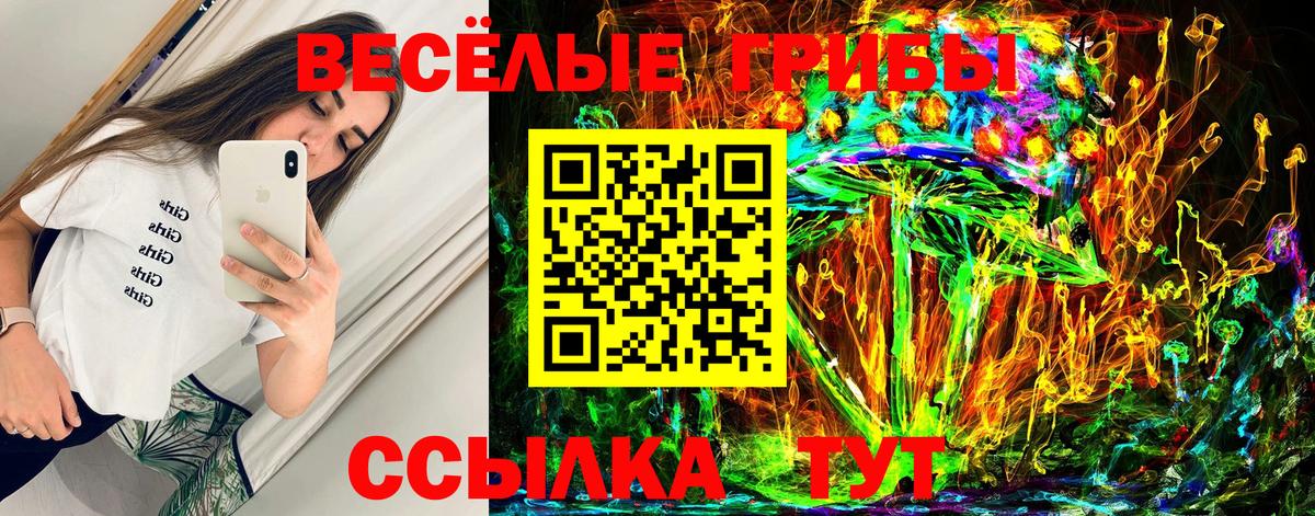 Елизово  Псилоцибиновые грибы GOLDEN TEACHER  Вход с VPN 